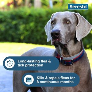 Collar Antipulgas y Garrapatas Elanco <span class=keywords><strong>Seresto</strong></span> para Perros Grandes de 18 Libras o Más, 8 Meses de Protección, Sin Olor, No Grasoso - Product Image 6