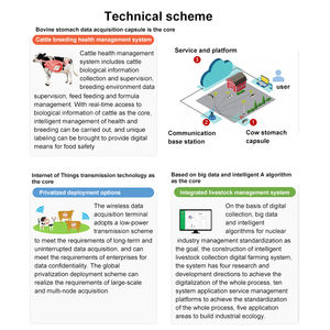 양 루멘 캡슐 Ai 생물학적 위 캡슐, 축산 지능형 관리 건강 모니터링 스마트 팜 제어 - Product Image 2