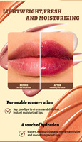 Vente Flash : Gloss à Lèvres Brillant Ultra Hydratant, Éclaircissant, Imperméable, Anti-transfert, Effet Miroir, Longue Tenue