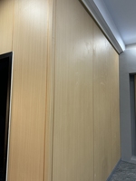 Panneau en oxyde de magnésium moderne de qualité ignifuge A2 B1, MgSO4 HPL PVC mélaminé, panneau stratifié MGO pour mur intérieur