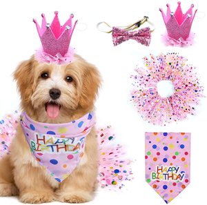 Conjunto de Fiesta de Cumpleaños <span class=keywords><strong>para</strong></span> Mascotas, Color Rosa, con Vestido, Falda, Pañuelo, Corona, Sombrero, Globo y Pastel, Disfraz <span class=keywords><strong>para</strong></span> Perro Hembra - Product Image 2