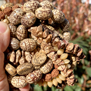 AsVrai U pierre naturelle irrégulière en bois Bodhi puces Oblate entretoise perles rondes en vrac pour la fabrication de bijoux accessoires de bricolage en gros - Product Image 3