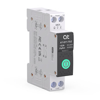 Disjoncteur intelligent Tuya Zigbee AT-SY1-TSZ MCB 1P 1-63A réglable sur rail DIN pour maison connectée, interrupteur télécommandé sans fil