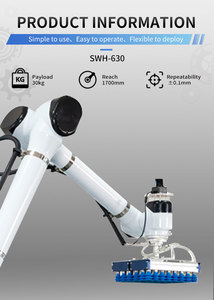 Robot de palettisation abordable de 30kg-ROI rapide pour les PME et les startups - Product Image 3