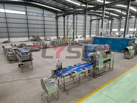 Constante Temperatuur Stabiele Friteuse Speciale Verwerkingsmachines voor Diepvriesproducten en Casual Snacks