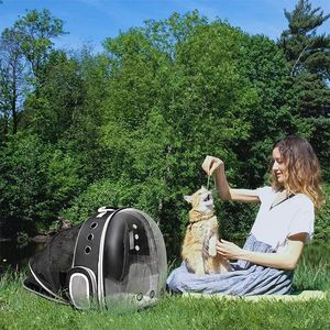 Sac à bulles respirant et extensible pour voyage en plein air, porte-sac à dos pour chat et animal de compagnie - Product Image 3