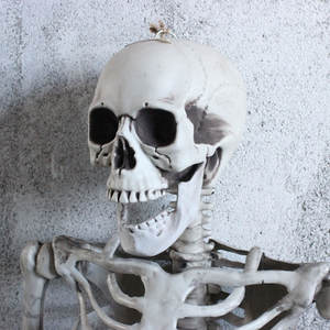 <span class=keywords><strong>D</strong></span>écoration de maison animée <span class=keywords><strong>d</strong></span>'accessoires de fête squelette <span class=keywords><strong>d</strong></span>'Halloween grandeur nature - Product Image 3