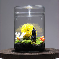 Accessoires de décoration pour la maison, pot en verre pour table, planteur artisanal en verre transparent pour plantes hydroponiques, vase en verre avec couvercle en verre