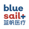 Shandong Blue Sail Innovation Co., Ltd. logo