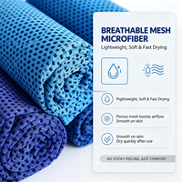 Serviettes de sport rafraîchissantes en microfibre, serviette de sport à séchage rapide, légère, à effet rafraîchissant instantané, pour la salle de sport et le fitness