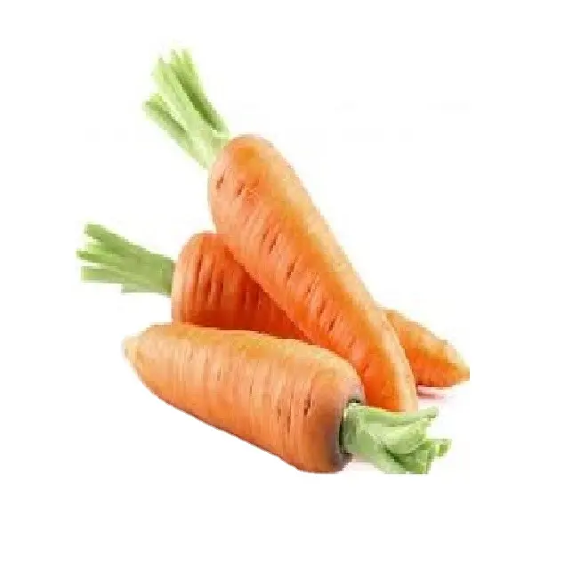 प्राकृतिक कटा हुआ निर्जलित गाजर-वियतनाम निर्जलित गाजर