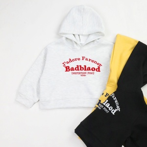 Custom Color Solid Color Autumn and Winter <strong>Hoodies</strong> for Kids 2-12 Kids <strong>Oversized</strong> Kids Sweatshirt with Custom logo Printed - Product Image 4