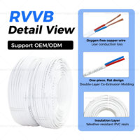 Kabel Tembaga Fleksibel Pipih RVVB Pilihan Terbaik 2x1.5mm2 2x2.5mm2 2x4.0mm2 Selubung PVC Putih untuk Penggunaan Bangunan Bersertifikasi CE ROHS