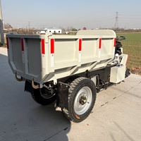 Minivolquete Triciclo de 2T Económico, Resistente y de Alta Capacidad con Motor y Rodamientos para Trabajos de Entrega de Cultivos Agrícolas en Filipinas, Motor Eléctrico