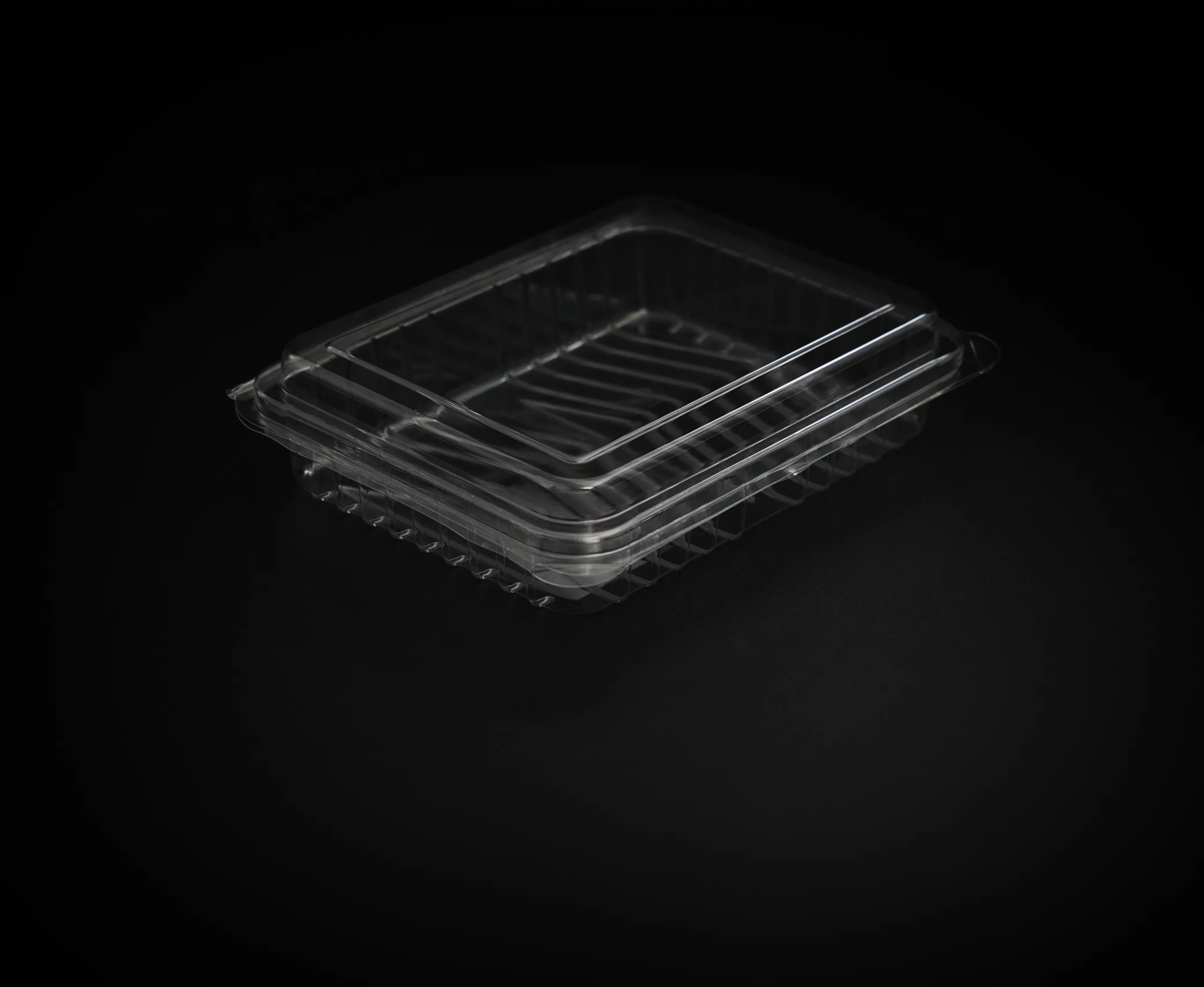 Biologisch abbaubares Material Abbaubare DQ300E-Obstbox für Blaubeeren Einweg-Klar verpackungs box
