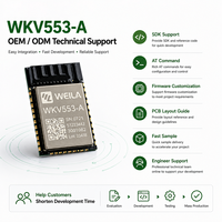 Module Wi-Fi 6 BLE 5.2 OEM pour applications domotiques et IoT