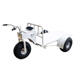 Groothandel Custom Ijs Platform Kar Display Driewieler Ijskar Elektrische Trolley Ijs Handkar - Product Image 2