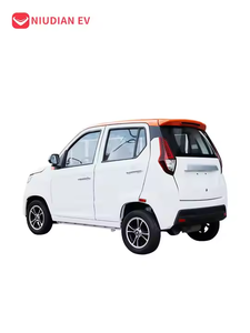 EEC/COC A900 Camión eléctrico y Jeep 4 ruedas 4 asientos EV Motor Producto al por mayor - Product Image 5