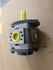 Pompe hydraulique à débit variable IPVP5-50 101 IPV6/80/101 IPN 6/5-125/100-101 à engrenages internes haute pression, conception robuste - Product Image 2