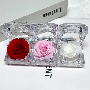 Cadeau de la Saint-Valentin : Bague <span class=keywords><strong>avec</strong></span> <span class=keywords><strong>rose</strong></span> éternelle – Vente flash usine, petite boîte à bague en acrylique (Rouge/<span class=keywords><strong>rose</strong></span> éternel) - Product Image 1
