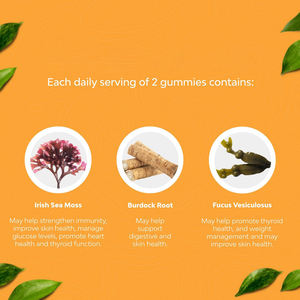 Gomitas de Musgo Irlandés y Saúco de Alta Calidad, Certificadas por HACCP, 60 Unidades, Apoyo Inmunológico y Digestivo para Adultos, Apto para la Tiroides - Product Image 4