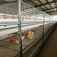 Cage à poulets en fil d'acier, cage à poulets à structure en acier, cage d'élevage de poulets, cage à poulets commerciale, cage à poulets domestique