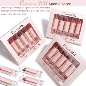 Lipstik Label Pribadi 5 Buah/Set Lipstik Matte Set