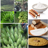 Ligne de Traitement Entièrement Automatique pour Farine de Manioc et Broyeurs de Plantain