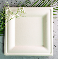 Bagasse à sucre Assiettes carrées de 6 pouces Ensemble d'assiettes jetables Assiette en papier pour friteuse à air pour aliments