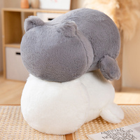 Jouets en peluche amusants pour chat sans visage ni expression, animaux en peluche doux, coussin de canapé pour chat, oreiller