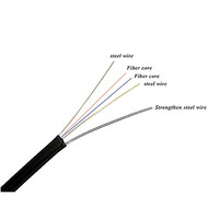 Indoor and Outdoor Fiber Optic Cable with 1 Core and 2 Core G657A2 G657A1 Steel Wire for FTTH Applications