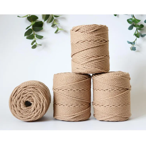 <span class=keywords><strong>Fil</strong></span> de <span class=keywords><strong>macramé</strong></span> en <span class=keywords><strong>coton</strong></span> torsadé coloré recyclé de 5 mm, corde de <span class=keywords><strong>macramé</strong></span> épaisse - Product Image 6