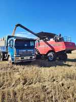 Moissonneuse-batteuse pour riz et blé à vendre