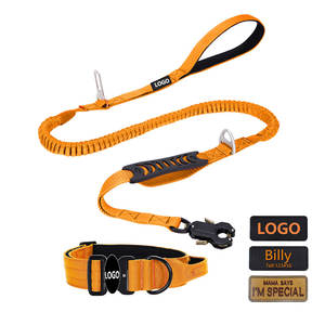 All'ingrosso guinzaglio per cani con fibbia in metallo ammortizzante collare per cani Pet <span class=keywords><strong>Bungee</strong></span> fune guinzaglio tattico di lusso collare per cani guinzaglio - Product Image 1