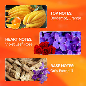 High Quality <strong>Top</strong> Grade Luxury Women's Perfume Spray with Long-Lasting Fragrance Body Oil ISO Certified Deodorant - Product Image 4