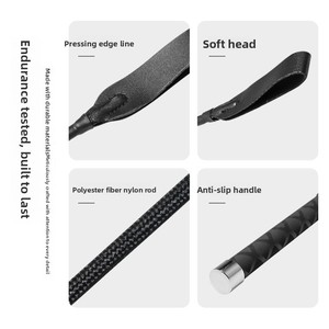 Frusta e Bastone per Addestramento Cani e Stimolazione Gatti - Facile Addestramento Senza Danneggiare la Casa - Product Image 4