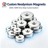 Imán Industrial de Neodimio NdFeB N52 con Orificios para Tornillos Simples/Dobles, Recubierto de Níquel con Orificio Avellanado, Imán de Canal