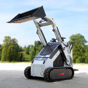 شحن مجاني محمل هيدروليكي مجنزر صغير رخيص قائم بحامل جرار زراعي محمول توجيه انزلاقية محرك EPA زراعي - Product Image 3