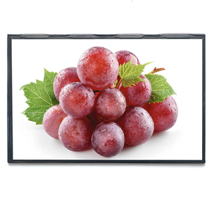 AUO 10.1 inch <strong>lcd</strong> <strong>panel</strong> resolution 1280x800 Brightness 350nit digital signage and display <strong>B101EW05</strong> <strong>V0</strong> - Product Image 3