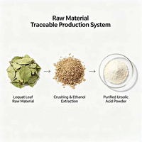 Acide Ursolique en Poudre 98% HPLC Qualité Cosmétique et Alimentaire, Matière Première Naturelle d'Origine Végétale pour Formules Cosmétiques et Alimentaires – Approvisionnement Direct Usine