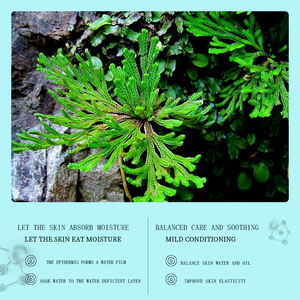 Masque cosmétique ODM 100% naturel, kit facial hydratant, avec extrait de Culture de calus, à effet un printemps - Product Image 4