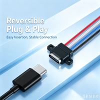 Connecteur de panneau Type-C pré-câblé LN-004, fil de couleur 24AWG à 4 broches, fixation par vis, largement utilisé pour la charge des petits appareils électroménagers