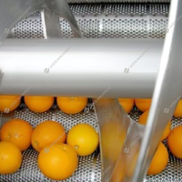 Geavanceerde automatische sinaasappelschilmachine en sinaasappel-citroensapmachine