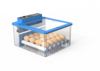 20 pièces 40 pièces petit incubateur d'œufs à taux d'éclosion élevé incubateur entièrement automatique