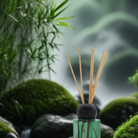Diffuseurs de parfum uniques, design moderne, bouteilles en verre plat à double couche, épaisses et rigides, vente en gros, design unique
