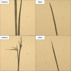Olio per Capelli Naturale al Profumo di <span class=keywords><strong>Rosa</strong></span> con Etichetta Privata, Trattamento Rinforzante per Riparare Capelli Secchi e Danneggiati - Product Image 4