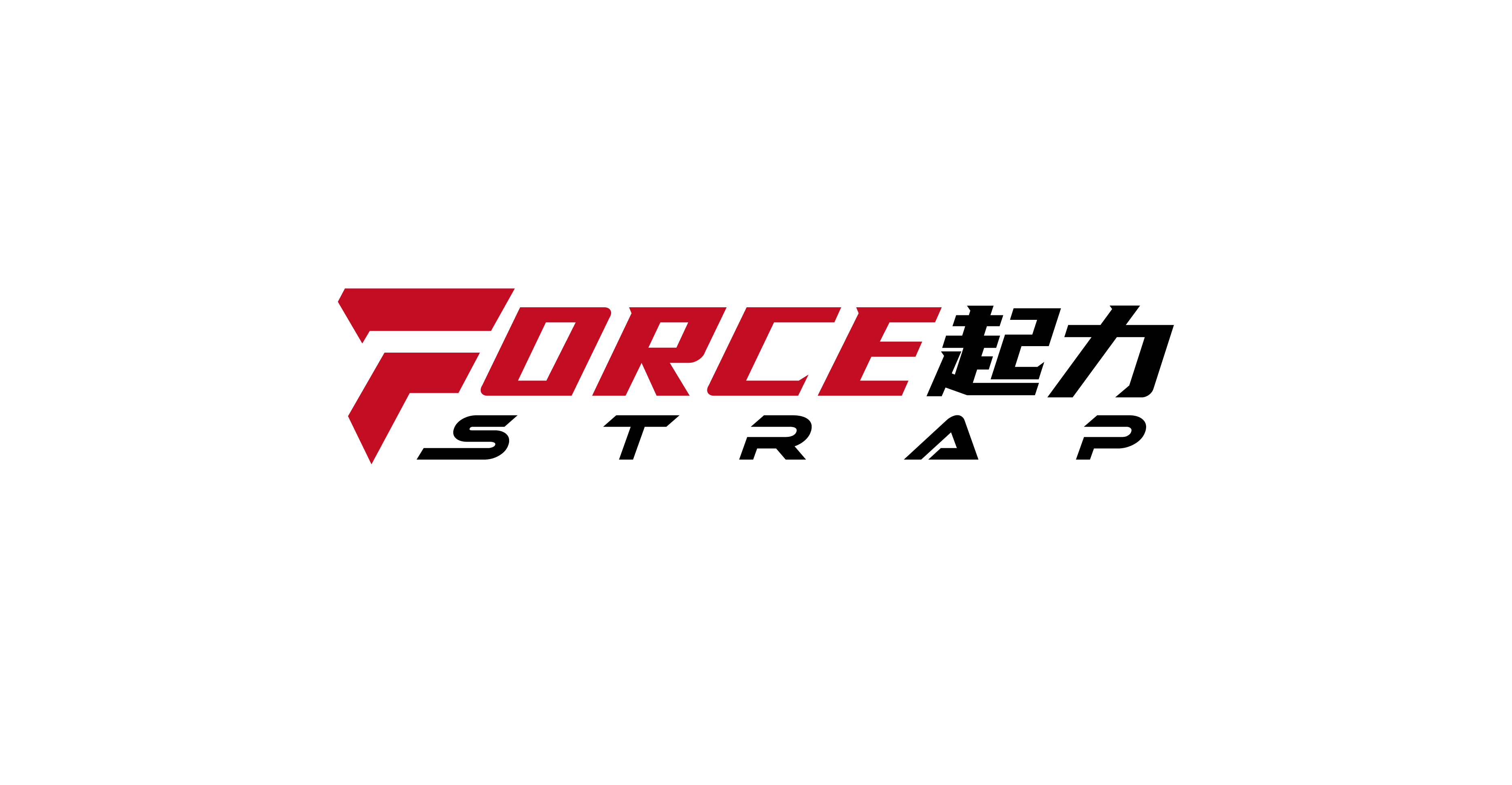 Ningbo Force Rigging Co., Ltd. logo