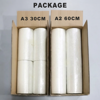 Film de transfert DTF PET : Fournisseur de rouleaux de film à pelage à chaud et à froid pour machines d'impression textile et production de vêtements Renlitong