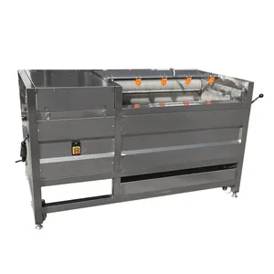 Easy To Operate Automatic Industrial 500kg Potato Ginger Roller Washer/ Brush Peeling Machine/ Potato Peeling Machine