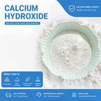 Produits chimiques de traitement des eaux usées très demandés : Hydroxyde de calcium à neutralisation forte 95 % (Chaux hydratée)